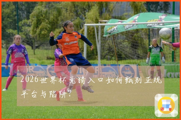 2026世界杯竞猜入口如何甄别正规平台与陷阱？