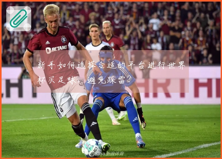 新手如何选择合适的平台进行世界杯买足球,避免踩雷?