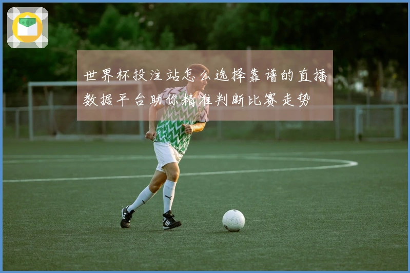 世界杯投注站怎么选择靠谱的直播数据平台助你精准判断比赛走势